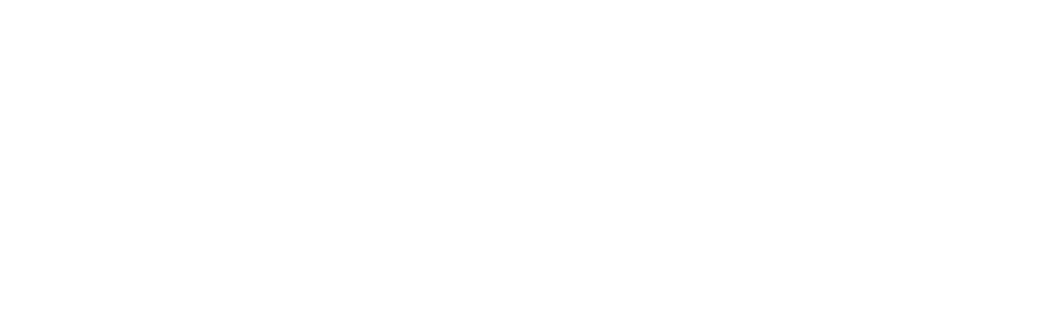 Shopify Plus Partners
