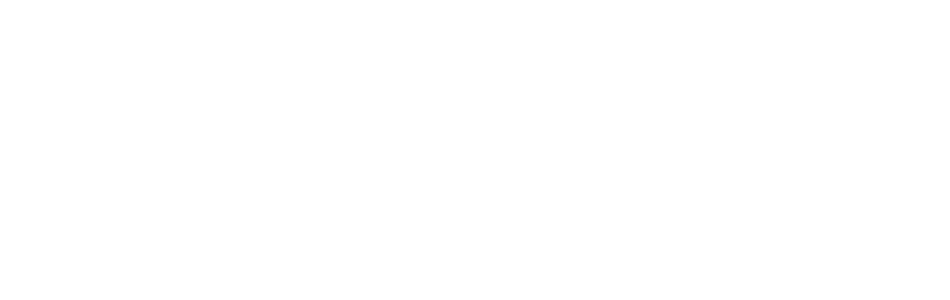 Shopify Plus Partner