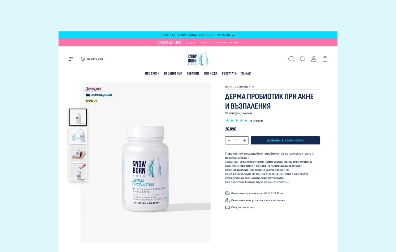 Snowborn Skin — website design
