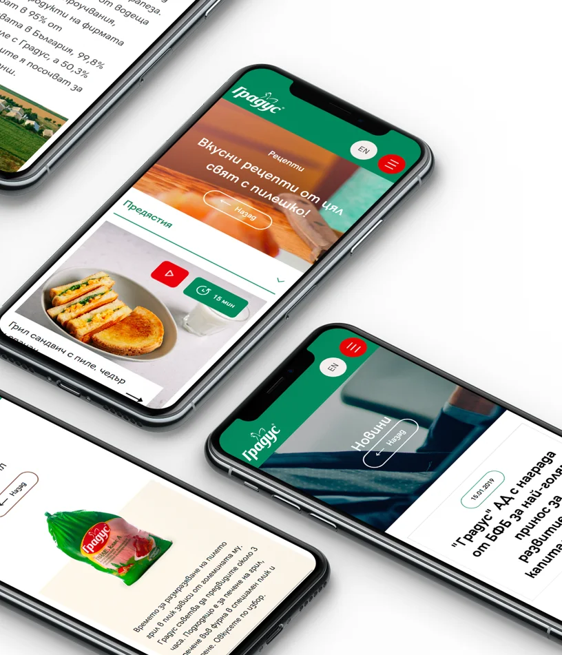 Gradus — website design