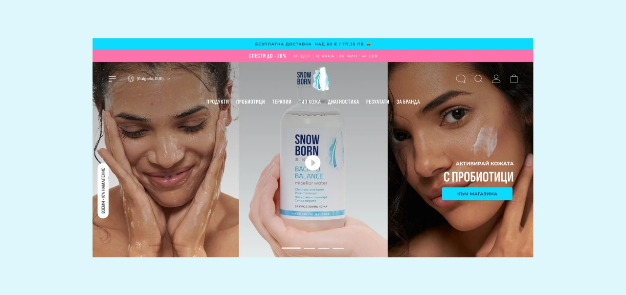 Snowborn Skin — website design