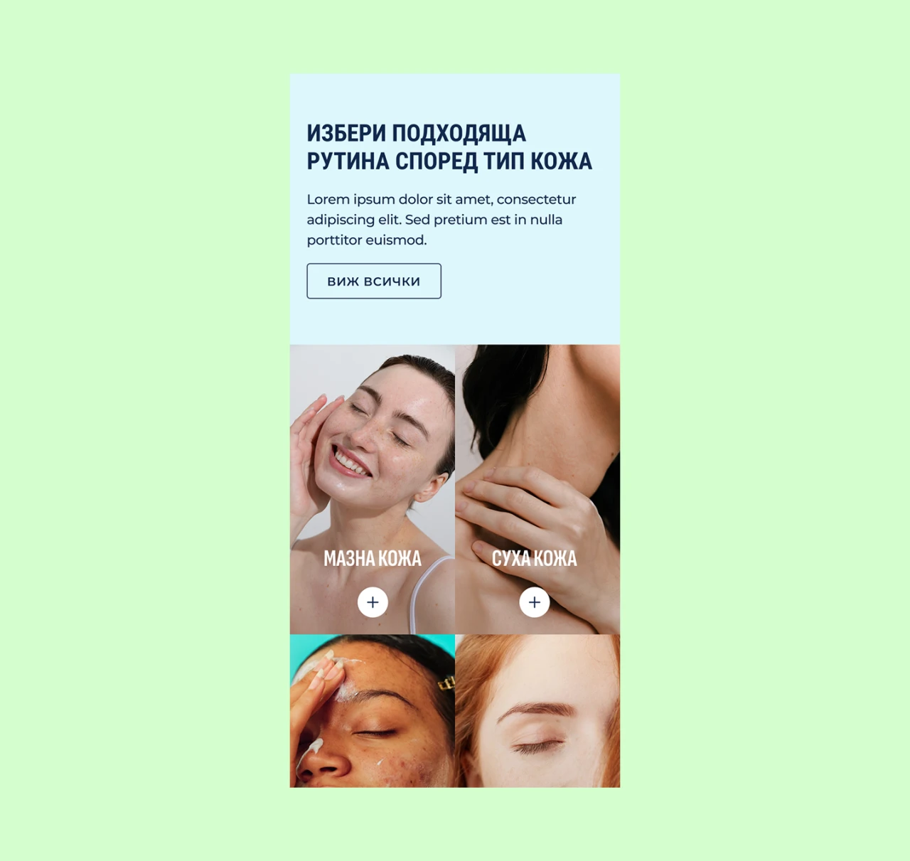 Snowborn Skin — website design